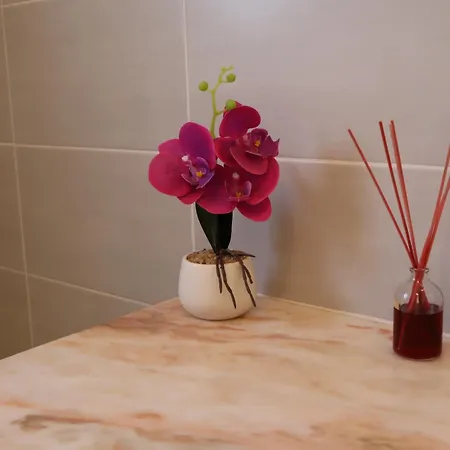 בית נופש Dad's