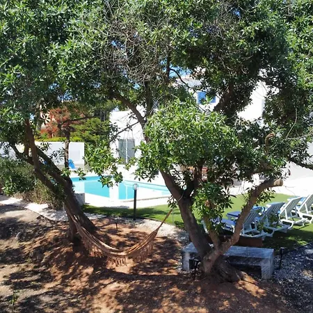 Dad's Casa de Férias